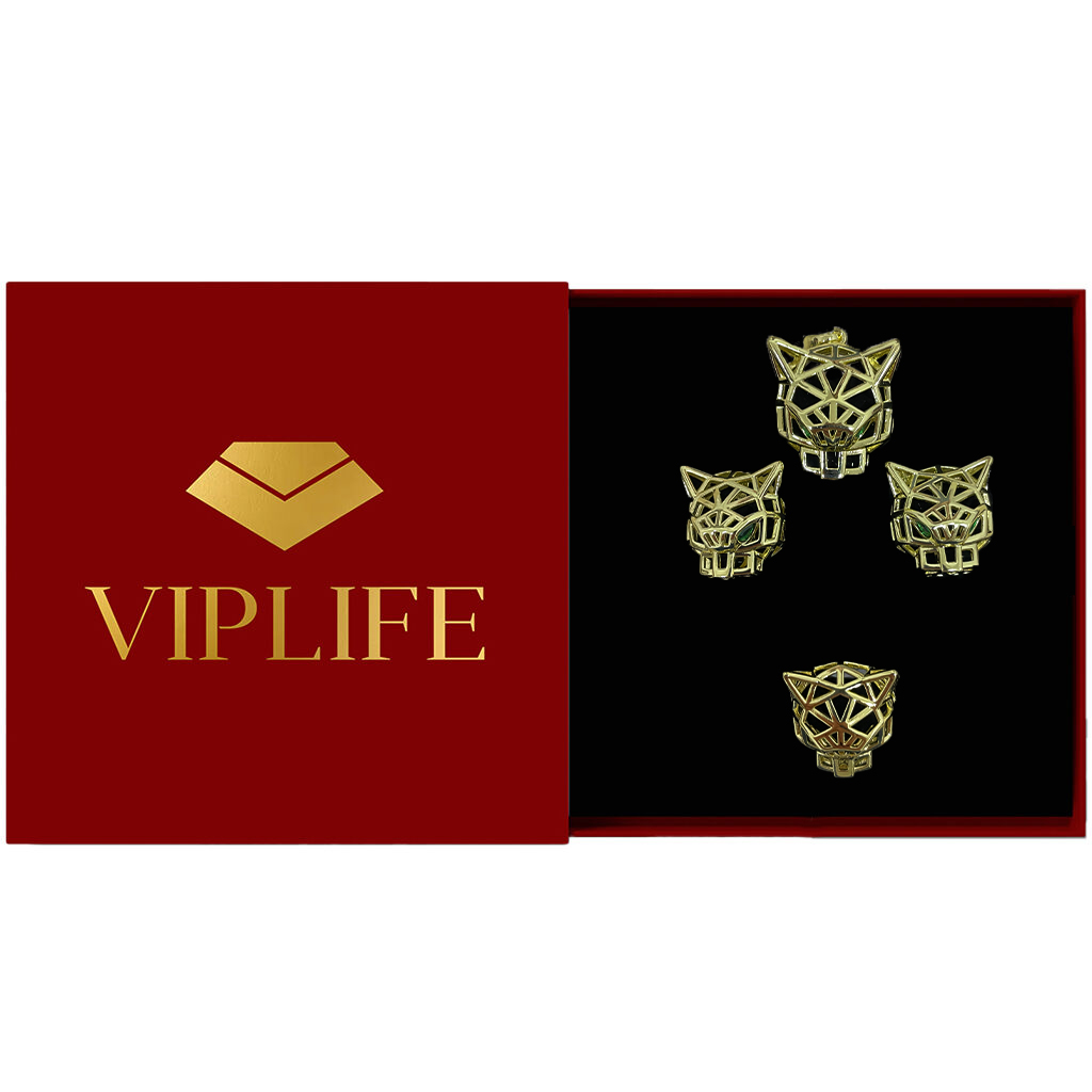 A-9816 VIPLIFE-Aksesuar Dəst + Viplife hədiyyəlik qutu   